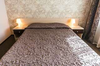 Гостиница Орион Нижний Новгород Номер стандарт с 1 двуспальной кроватью-7